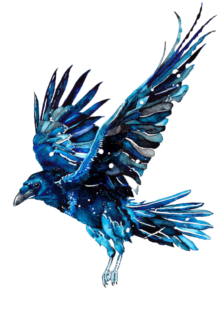BLUERAVEN 1 blueraven