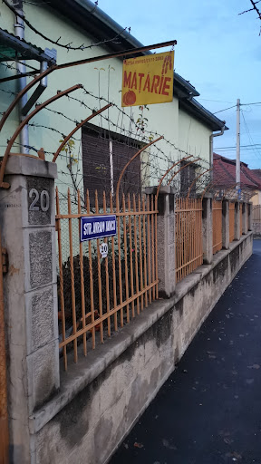 Mățărie