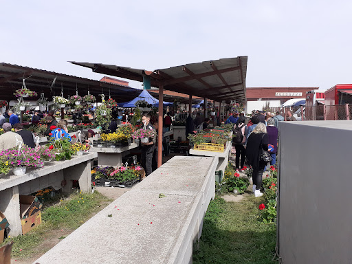 Piața Agroalimentară Covasna