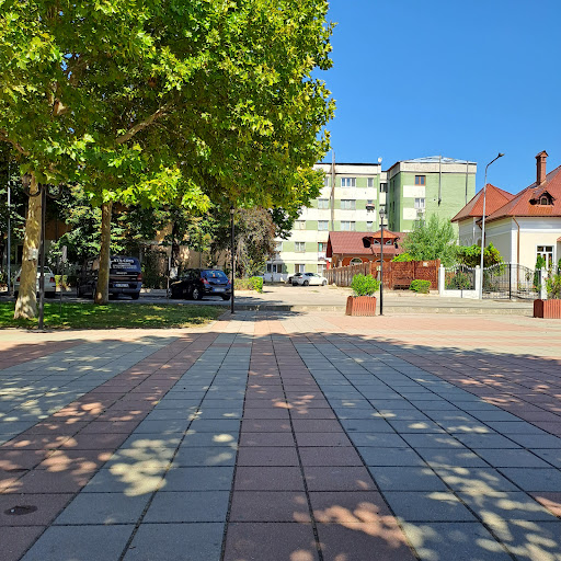 Piata Civica Bailesti