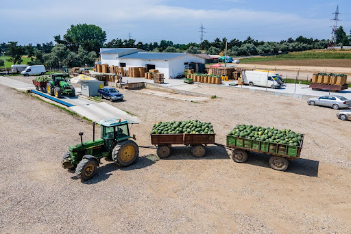 ADOS FRESH - DABULENI