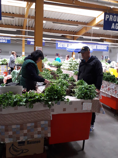 Piața Agro-Alimentară