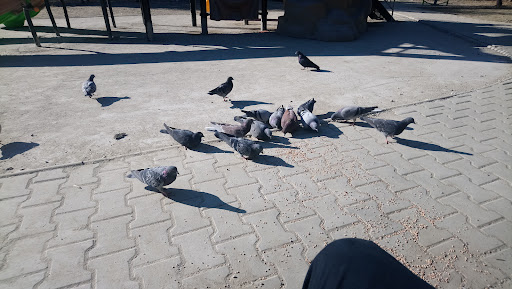 Merișor