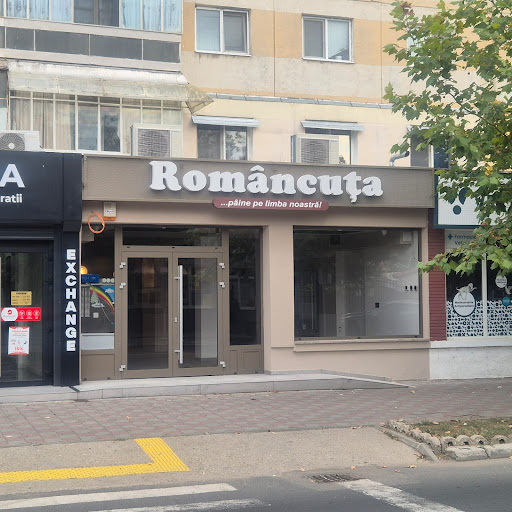 Magazin Romancuta Costesti