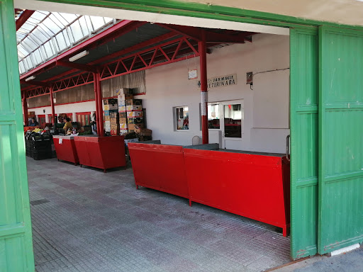 Piața agroalimentară