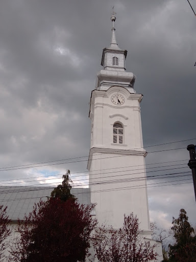 Cofetărie Margalex srl