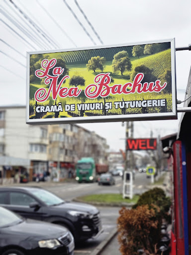 La Nea Bachus - Crama Ianca