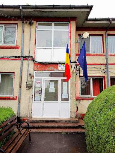 Politia Orasului Insuratei