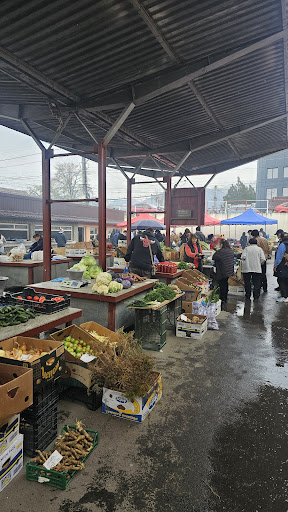 Piata legume