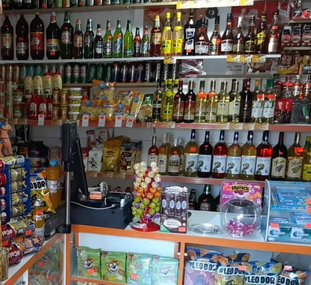 gerigumi magazin mixt alimentar si piese auto