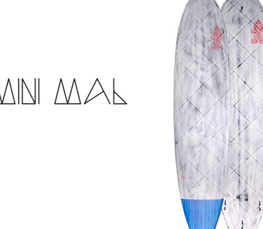 Mini-Mal Star SRL 1 mini mal star srl