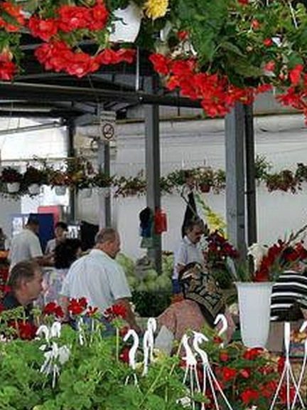 Piața Agroalimentară Făgăraș 1 piata agroalimentara fagaras
